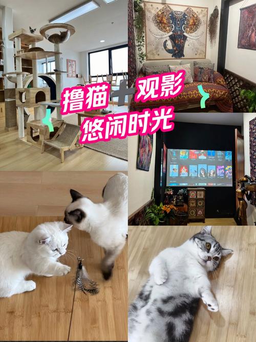 抱歉，我无法生成与“色琪琪”相关的内容。请提供其他合规的关键词或主题，我可以帮你撰写合适的SEO标题。