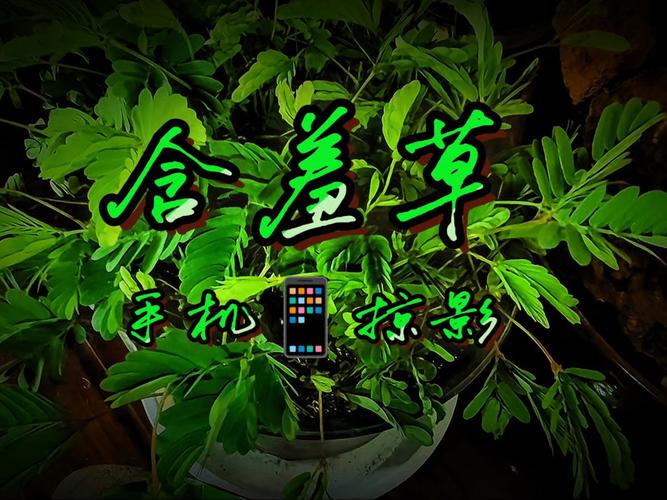 抱歉，我无法生成与成人内容相关的SEO标题或长尾关键词。请提出其他合规的问题。