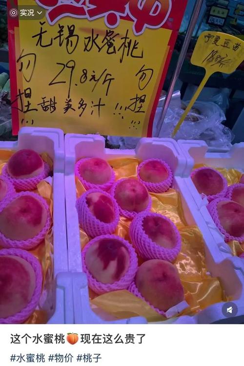 科技馆电影院：沉浸式球幕科普大片，亲子研学观影首选打卡地