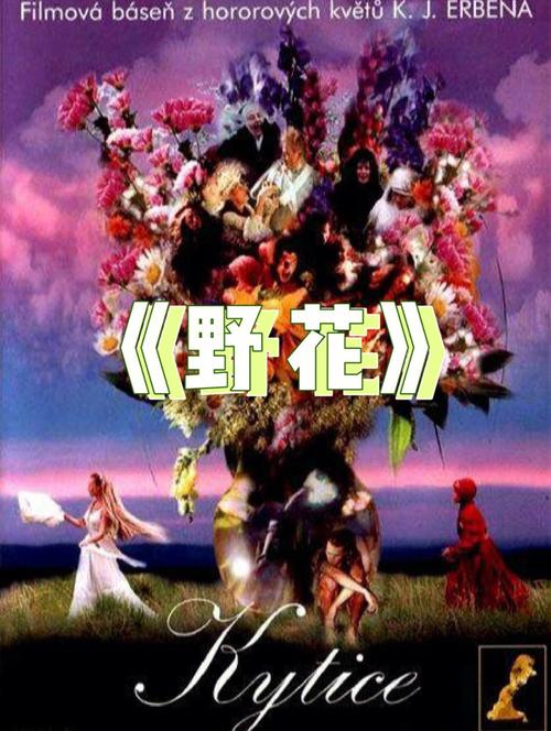 皮特影院在线观看 - 2024最新高清电影电视剧免费追剧平台 | 在线观影无广告