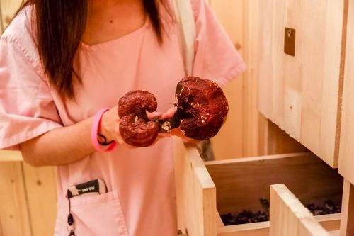 荔枝视频男人影院 - 最新热门男频影视推荐，解锁高燃动作与硬核剧情在线观看