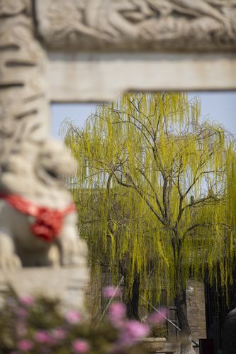 九七影院88在线观看 - 最新高清电影电视剧免费追剧平台