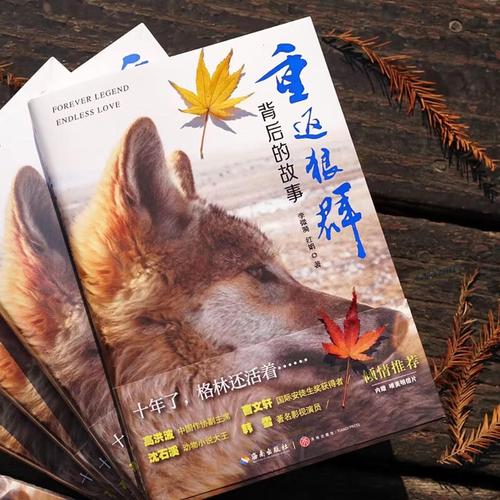 日本理论片精油按摩：沉浸式身心舒缓体验，解锁深层放松与肌肤养护密码
