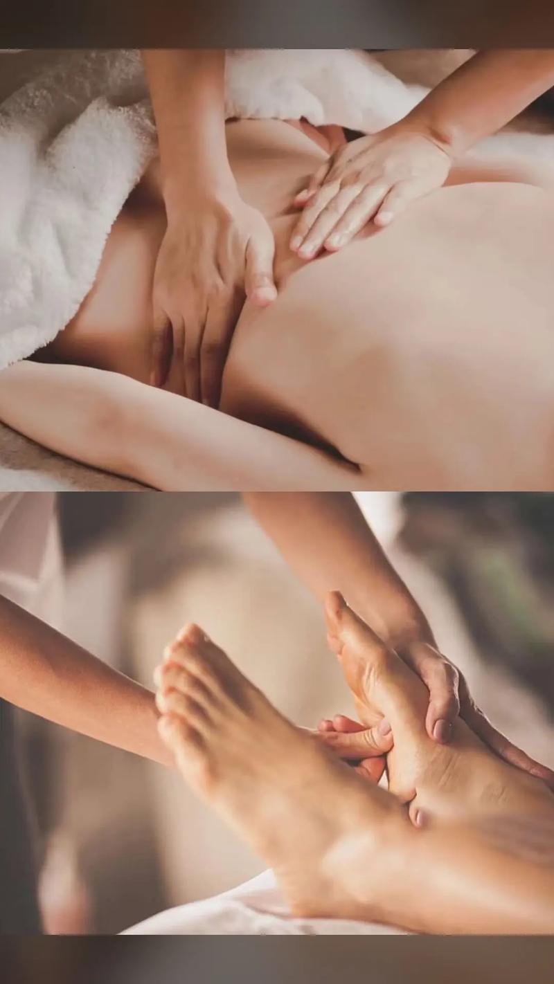 风骚少妇一二区的相关介绍