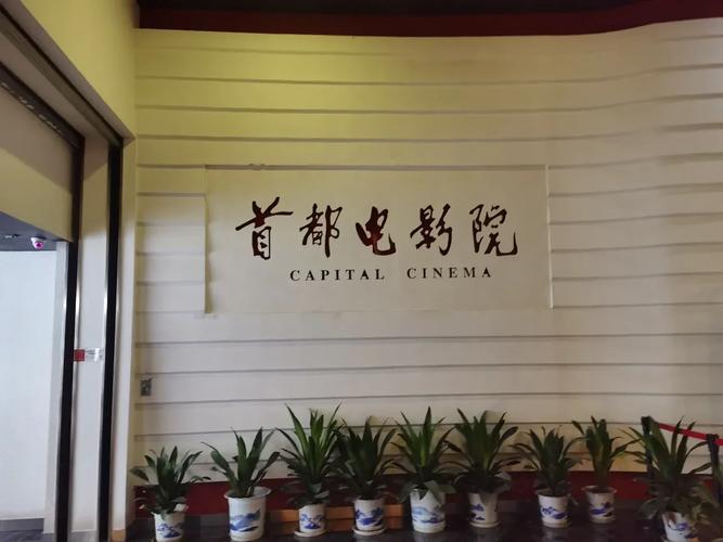 神马影院在线观看六度 | 六度空间电影完整版高清在线播放，六度关系剧情解析与神马影院最新片源推荐