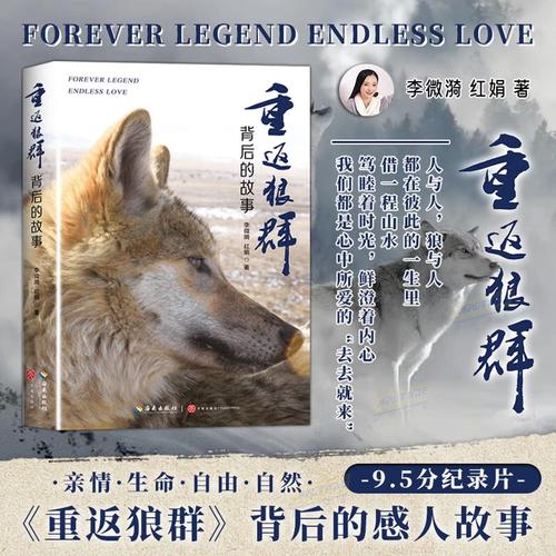 五福影院在线最新热播剧推荐，免费高清观影指南