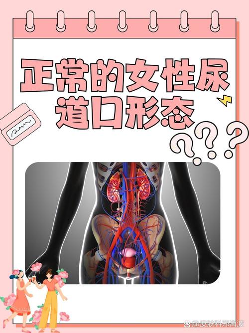 乱淫公爹的相关介绍