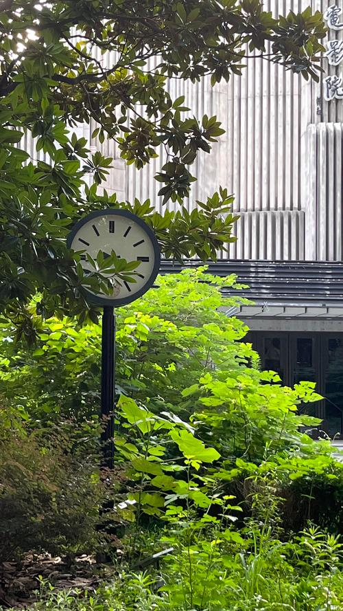 《红楼影院：重温经典红楼梦影视，品味大观园悲欢离合》